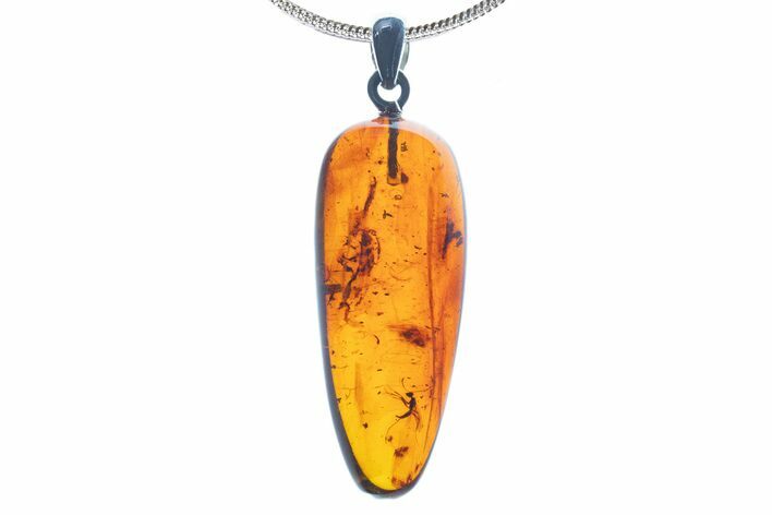 Polished Baltic Amber Pendant (Necklace) - Contains Fly! #339477